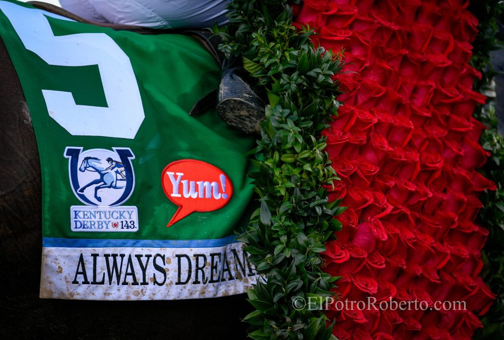 Kentucky Derby - Always Dreaming - ElPotroRoberto