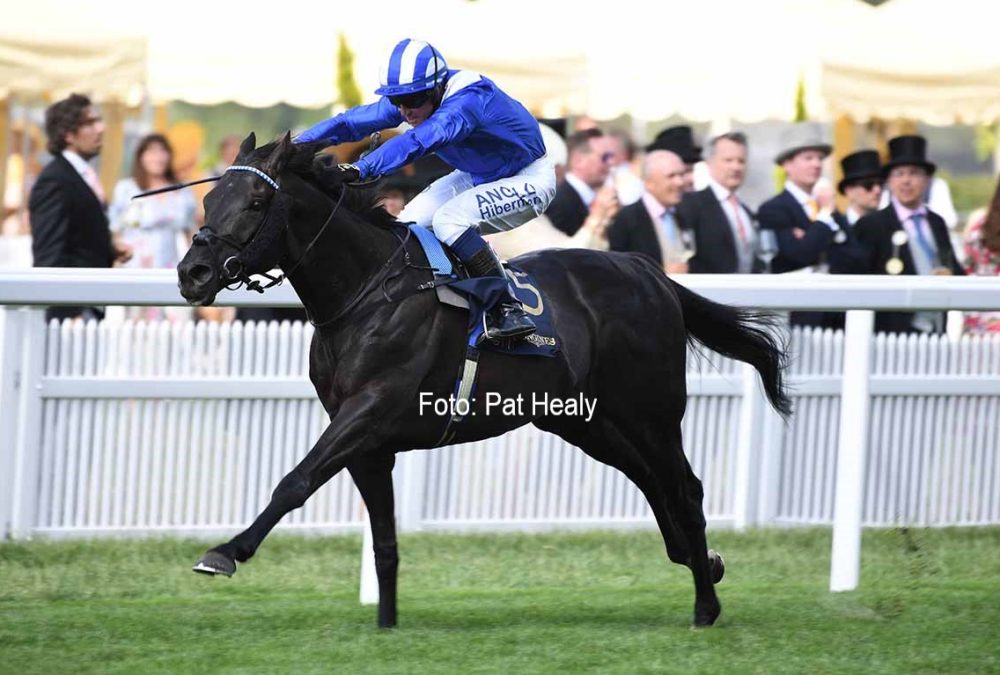 Mostahdaf IRE - Prince of Wales G1 - Royal Ascot - Foto Pat Healy