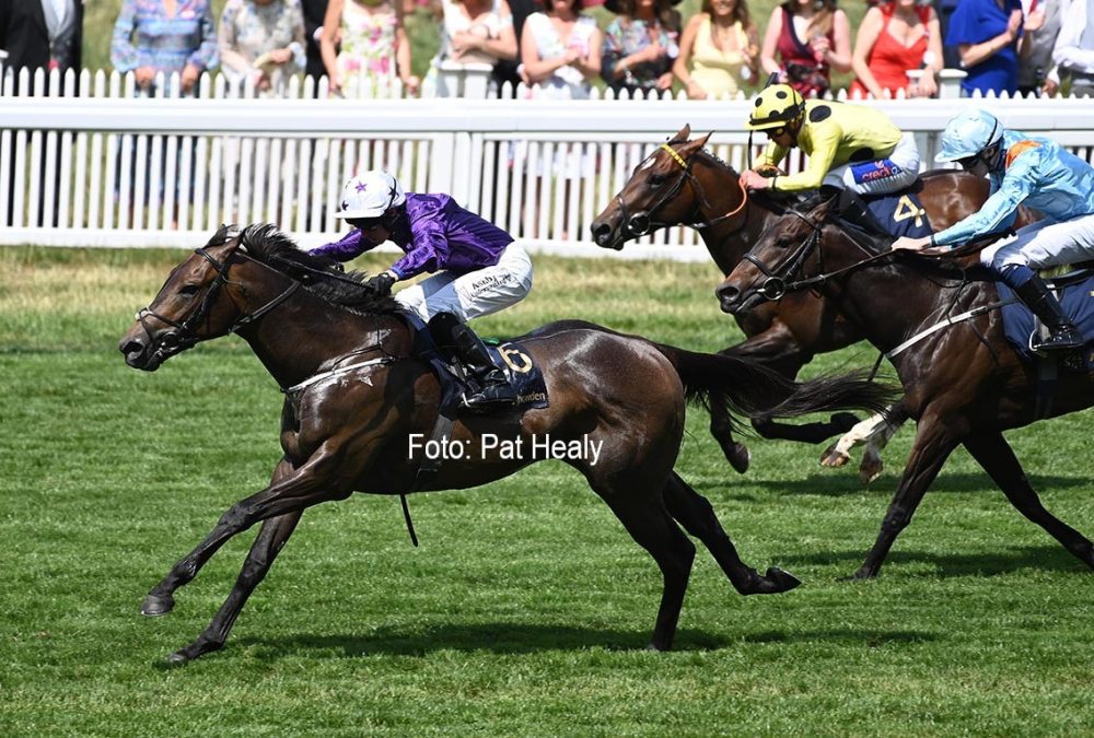 Valiant Force - Norfolk Stakes G2 - Royal Ascot - foto Pat Healy
