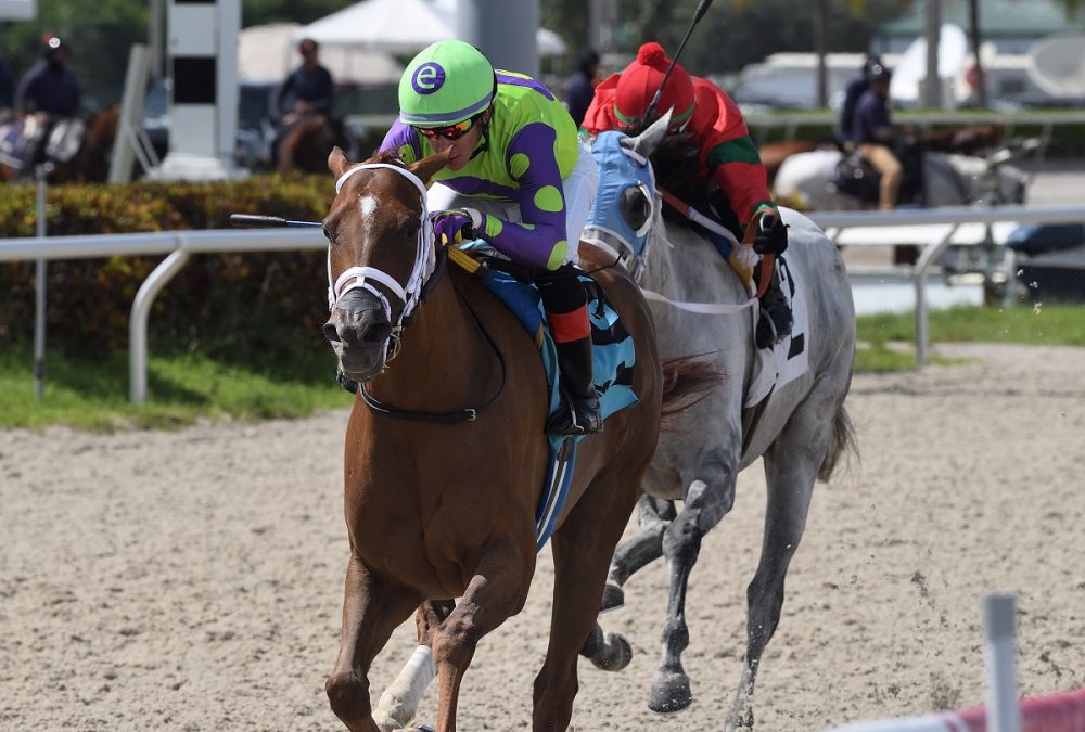 Transient - the Powder Break - credit Ryan Thompson - Coglianese Photo