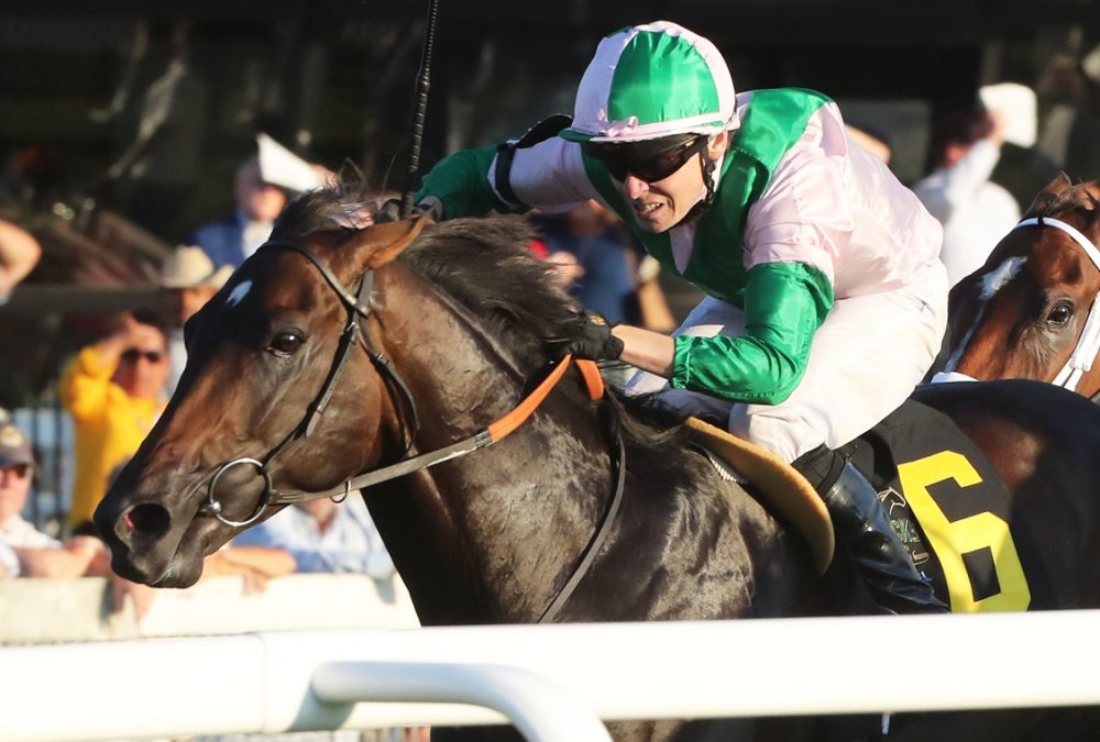 Ancient Rome - Mint Millions G3 - Coady Photography