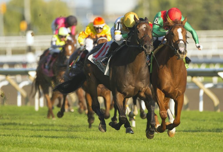 Touch 'n Ride to victory in the $400,000 Breeders Stakes - Woodbine/ Michael Burns Photo