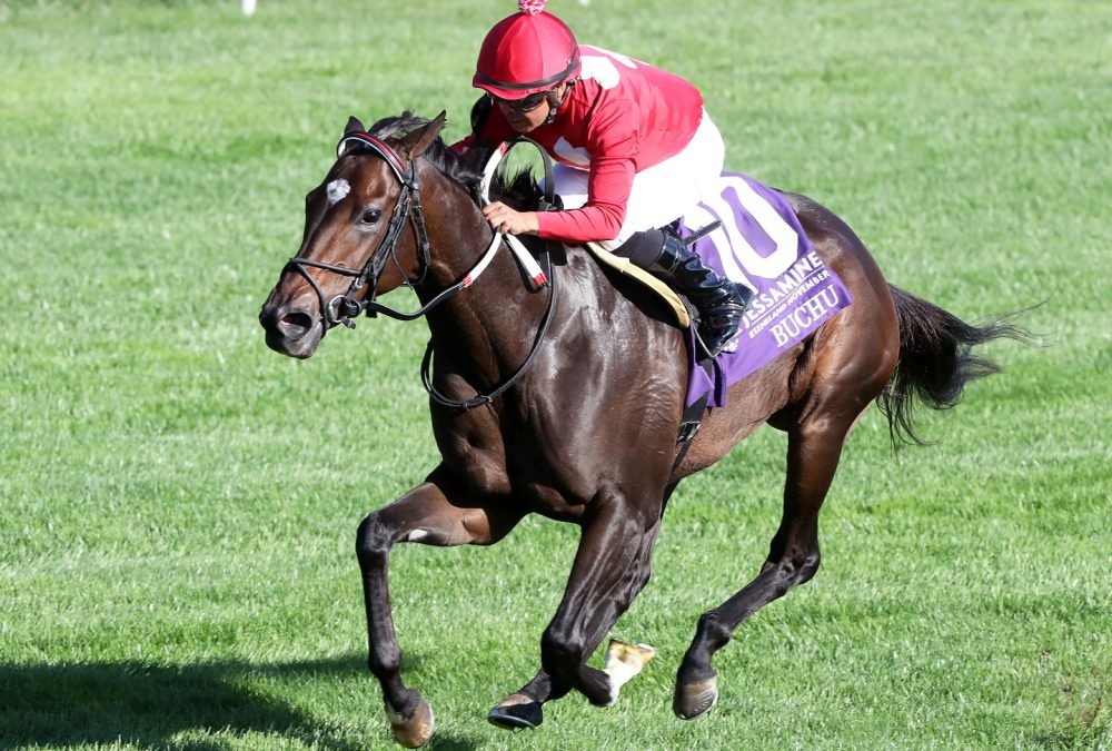 BUCHU - The Jessamine Presented By Keeneland November G2 - 33rd Running - Keeneland Race Course - John Gallagher - Coady Photo