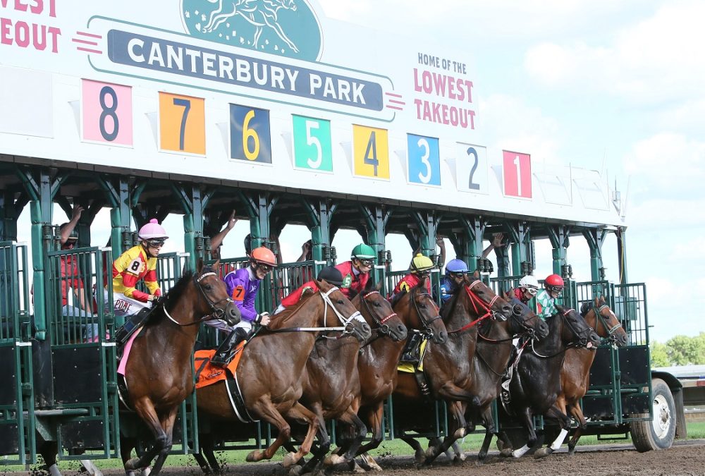 Canterbury Park - Action - Coady Photography