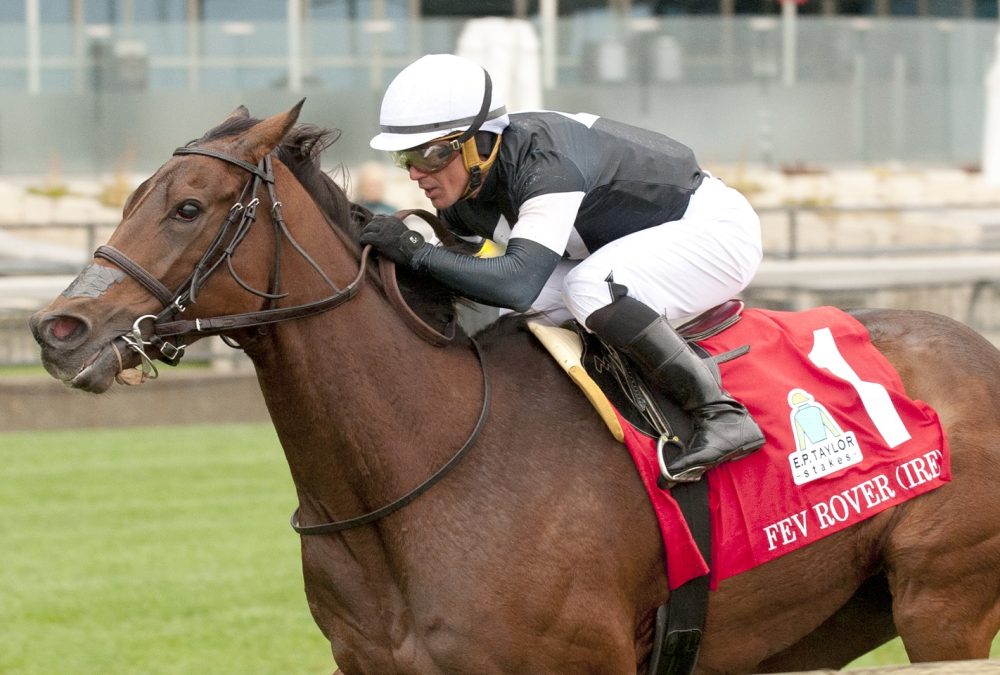 Fev Rover - $750,000 G1 E.P.Taylor Stakes - .Woodbine/ Michael Burns Photo