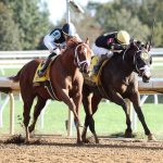 LOCKED - The Claiborne Breeders' Futurity G1 - 110th Running - Keeneland Race Course - Megan Coady - Coady Photo