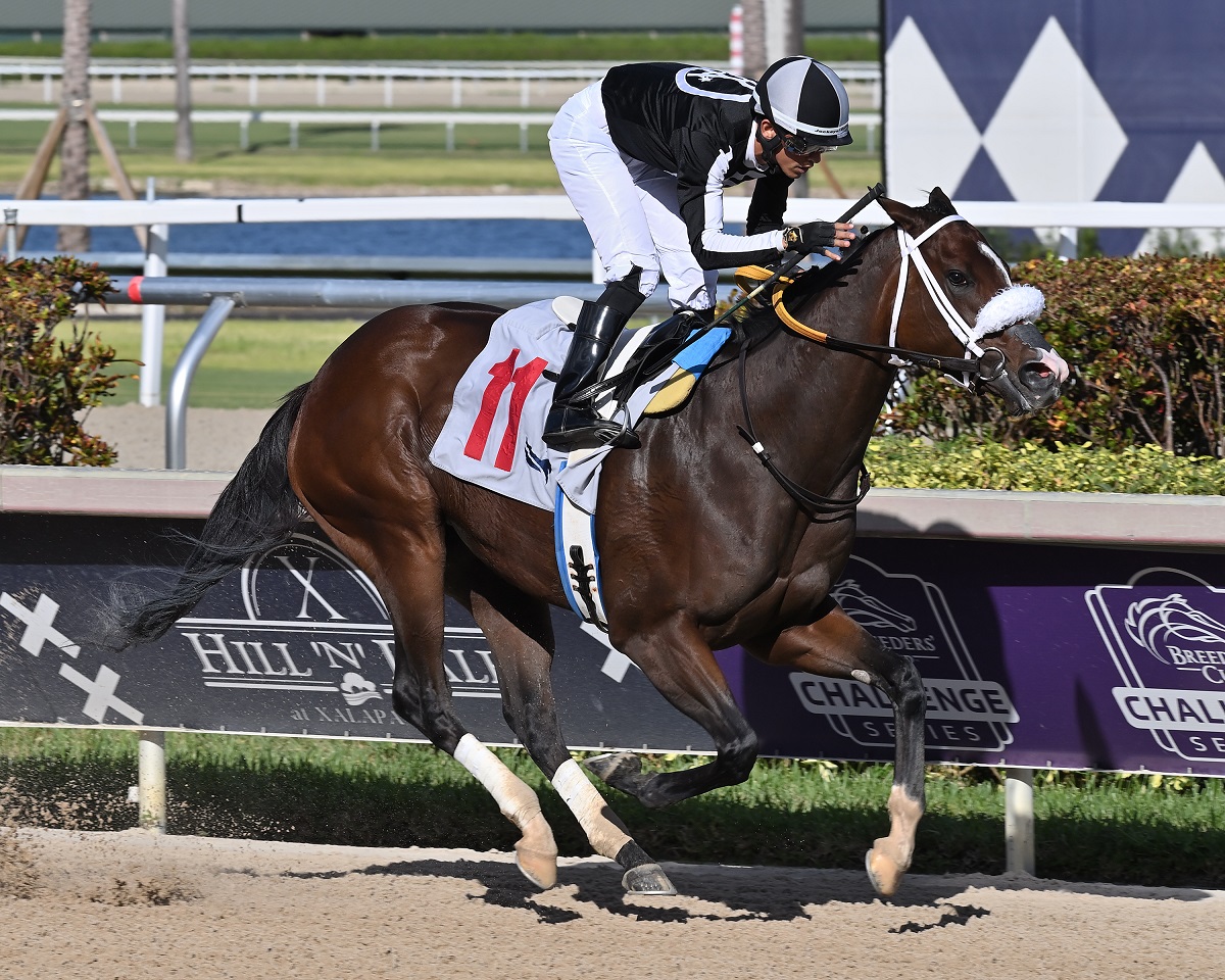 La serie Florida Sires inicia el camino selectivo del Championship Meet ...