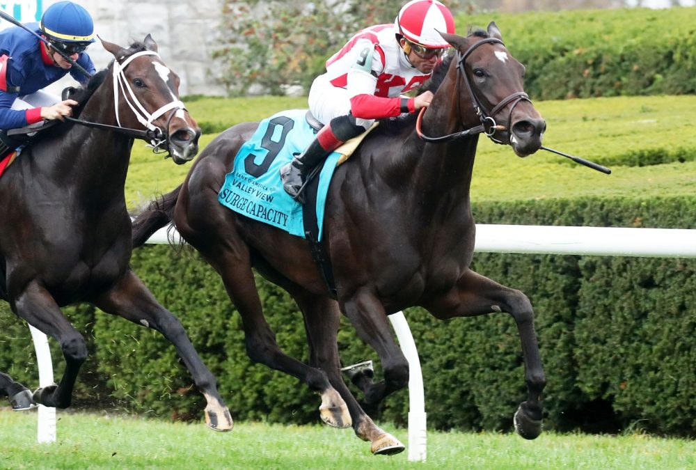 SURGE CAPACITY - The Bank of America Valley View G3 - 33rd Running - Keeneland Race Course - Renee Torbit - Coady Photo