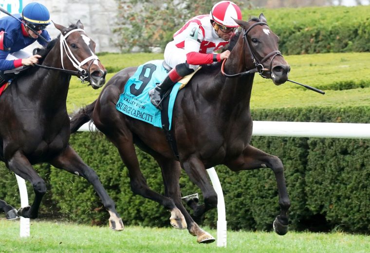 SURGE CAPACITY - The Bank of America Valley View G3 - 33rd Running - Keeneland Race Course - Renee Torbit - Coady Photo