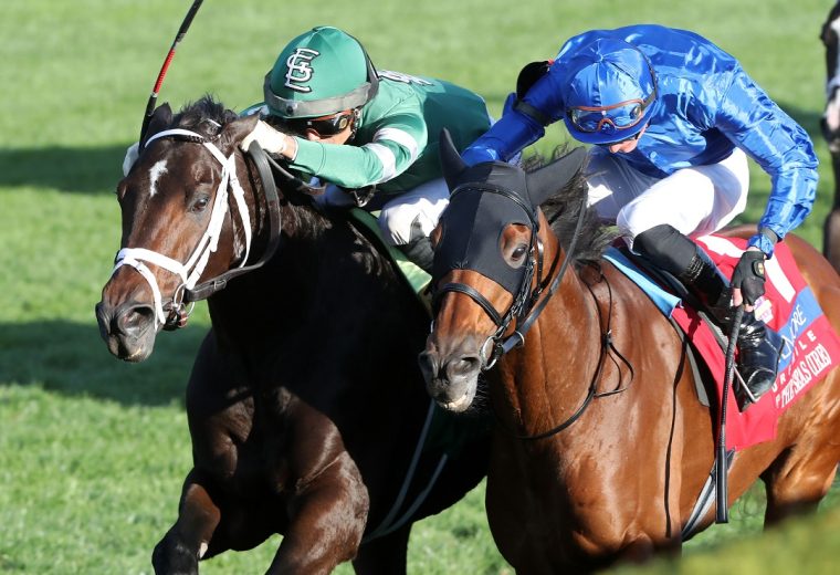 UP TO THE MARK - The Coolmore Turf Mile G1 - 38th Running - Keeneland Race Course - John Gallagher - Coady Photo
