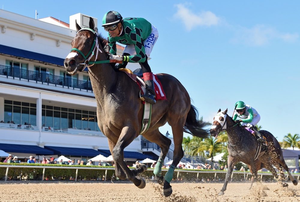 Chi Chi - Juvenile Fillies Sprint - Ryan Thompson