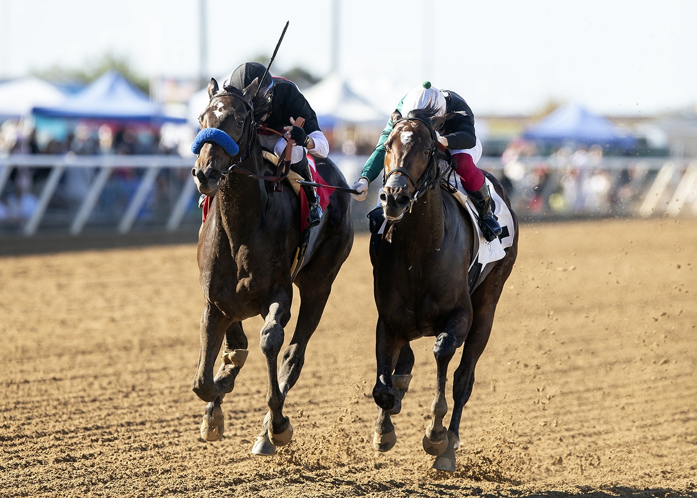 Todo listo para un nuevo Starlet Stakes en Los Alamitos