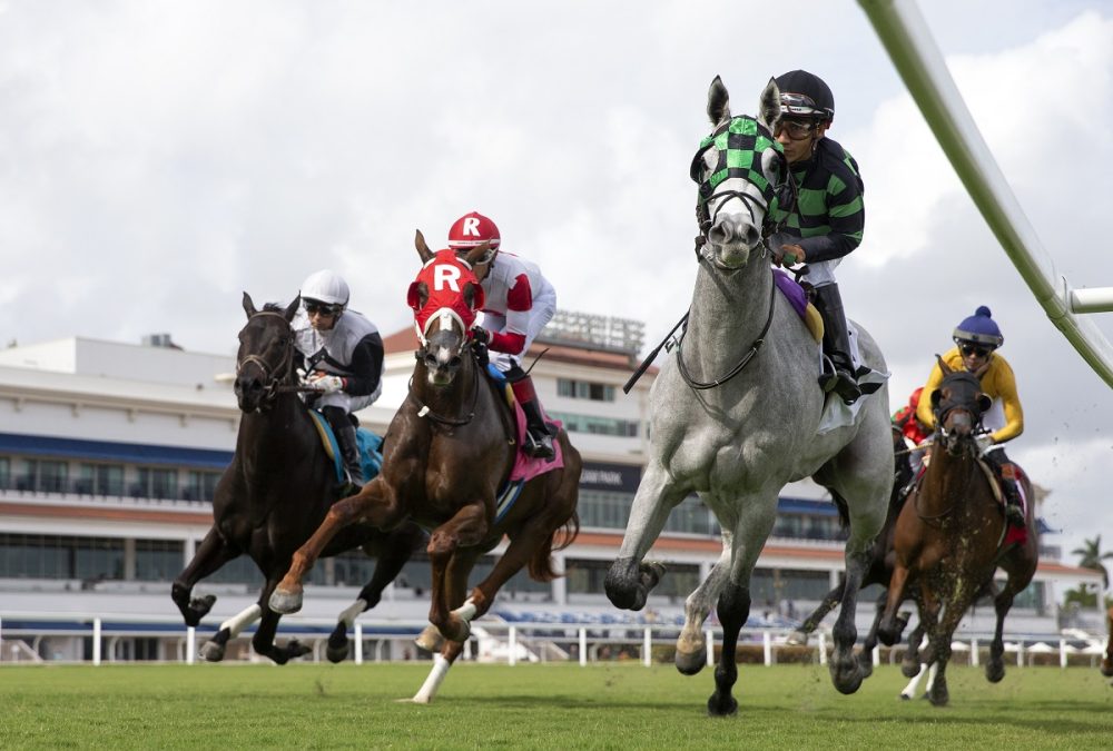 1st turf race Cleopatras Nile credit Ryan Thompson - Coglianese Photo