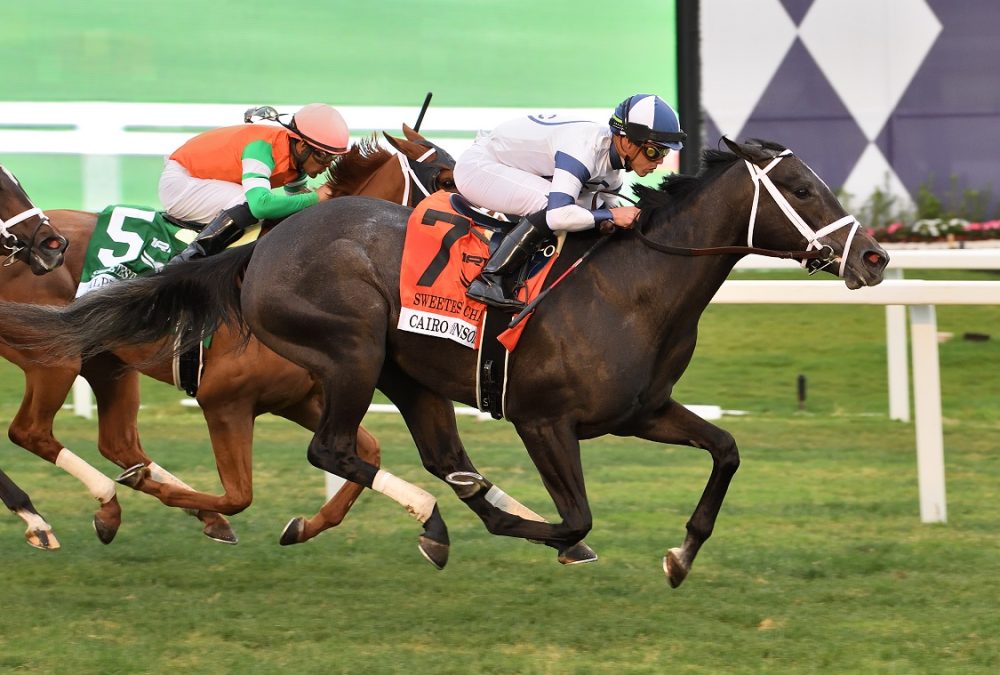 Cairo Consort - Sweetest Chant S. - Coglianese Photo