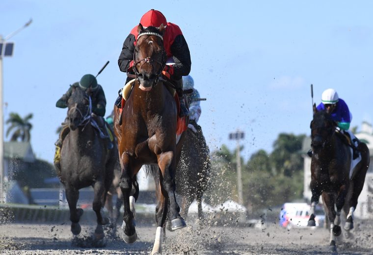 Candy Man Rocket - Ryan Thmpson - Coglianese Photo