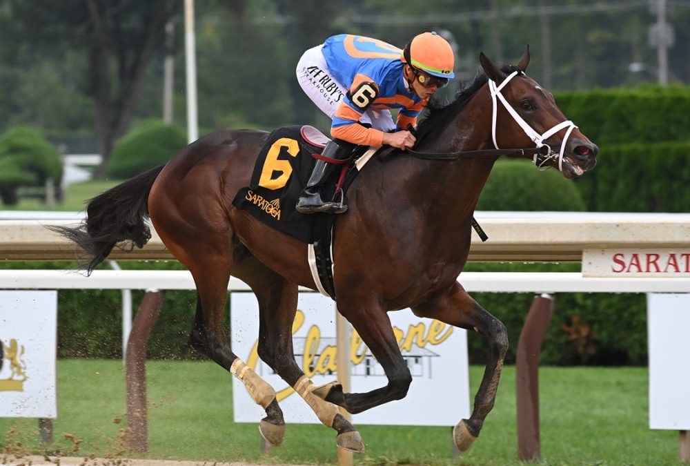 Fierceness - Saratoga - Susie Raisher