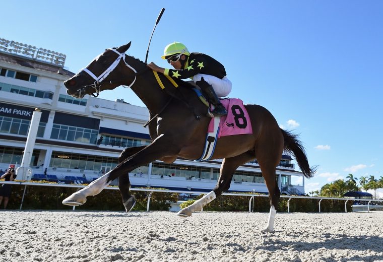 Honor D Lady credit Ryan Thompson - Coglianese Photo