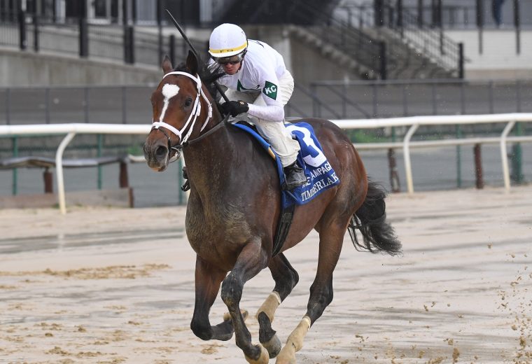 Timberlake - Coglianese Photo