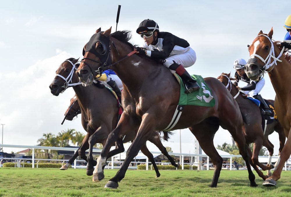 Coppola the Silks Run credit Ryan Thompson - Coglianese Photo