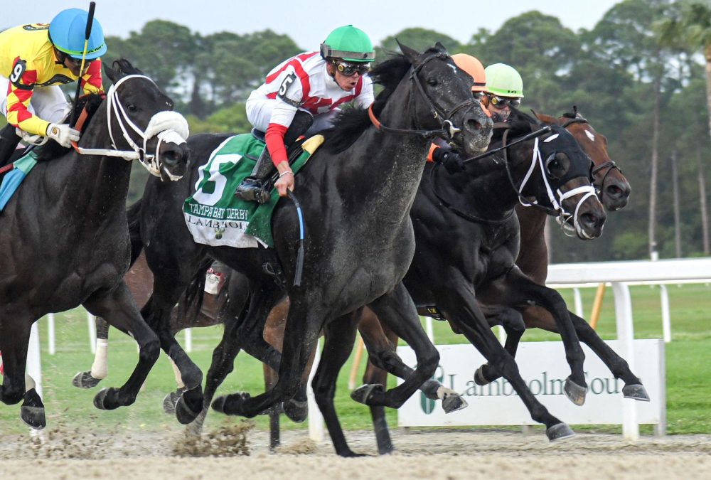Domestic Product - Tampa Bay Derby G3 - SV Photography