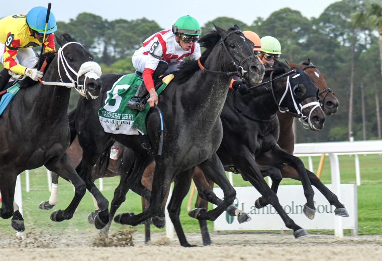 Domestic Product - Tampa Bay Derby G3 - SV Photography