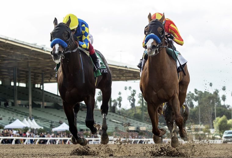 Imagination and jockey Lanfranco Dettori, left, out-nod stablemate Wine Me Up (Juan Hernandez), right, for victory in the Grade II $300,000 DK Horse San Felipe Stakes Sunday, March 3, 2024 at Santa Anita Park, Arcadia, CA. Benoit Photo
