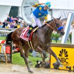 American Pharoah - Preakness Stakes - Jose Paye Photography