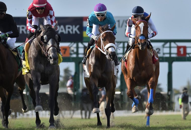 Gulfstream Park - Coglianese Photo