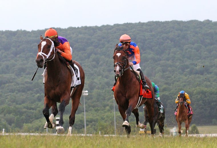 Major Dude - Penn Mile 2023 - Foto Bill Denver EQUI-PHOTO