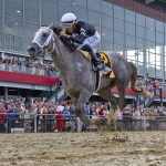 Seize the Grey - Preakness Stakes - Jerry Dzierwinski