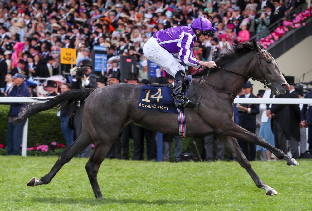 Bedtime Story - Chesham Stakes - Foto Ascot Media