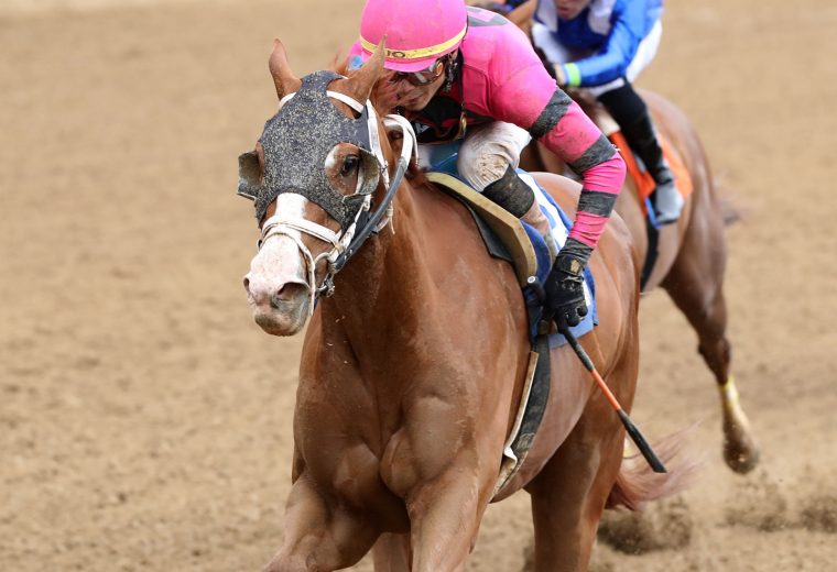 SAVE THE TREES - 3000th Win For Jockey Jose Ortiz - Churchill Downs - Coady Media