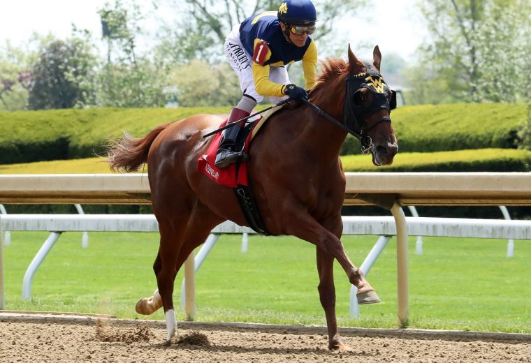 Ultima Grace - Keeneland - foto Coady Media