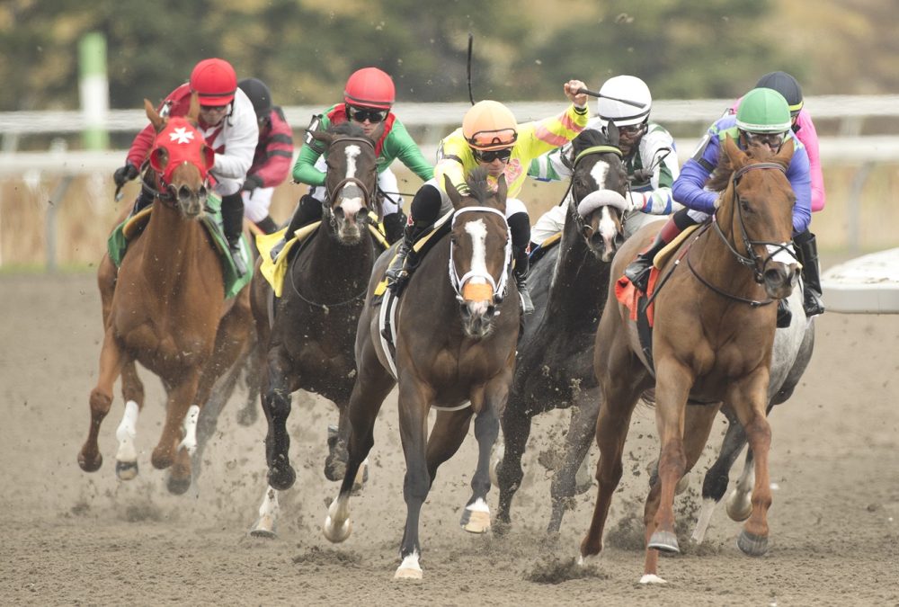 Woodbine - Final Turn -Michael Burns