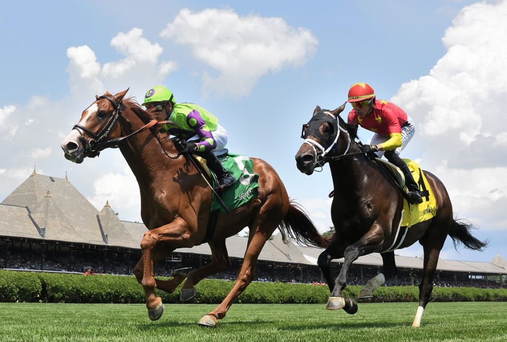 Carl Spackler (Ire) - Kelso G3T - Foto crédito: Coglianese Photo