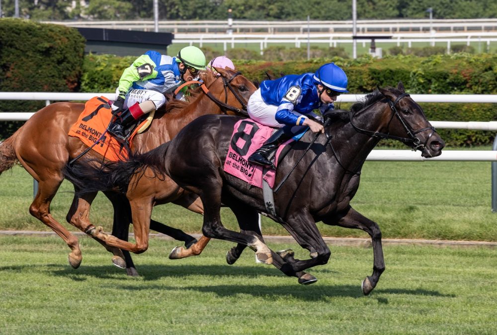 Cinderella's Dream - Belmont Oaks - Coglianese Photo