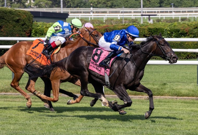 Cinderella's Dream - Belmont Oaks - Coglianese Photo