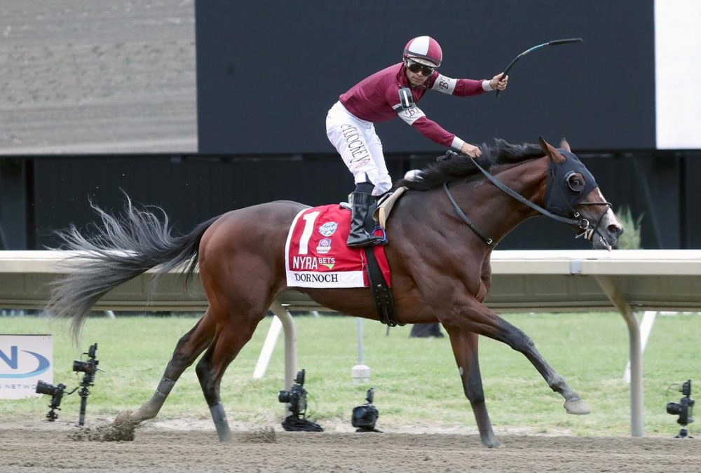 Dornoch - Haskell Stakes - Bill Denver EQUI-PHOTO