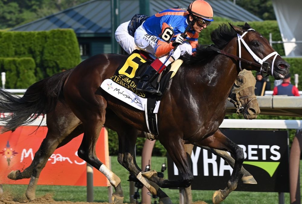 Fierceness - Jim Dandy Stakes G2 - Coglianese Photo