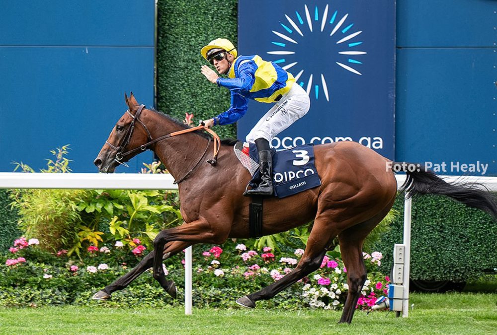 Goliath - King George VI & Queen Elizabeth Stakes - foto Pat Healy