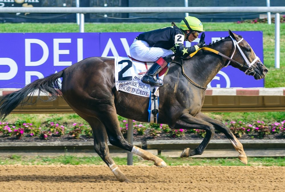 Honor D Lady - Delaware Handicap - Hoofprints Inc.