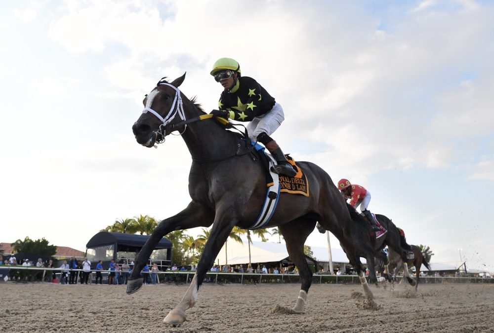 Honor D Lady - Gulfstream Park - Ryan Thompson