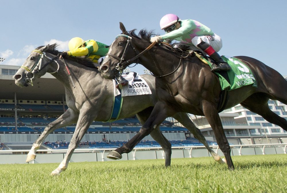 Little Teddy - Georgian Bay Stakes - Michael Burns