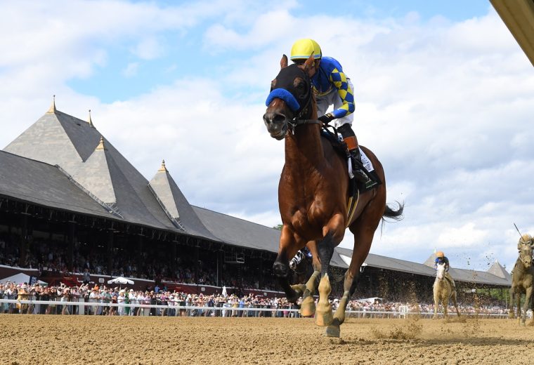 National Treasure - Metropolitan Handicap G1 - Coglianese Photo