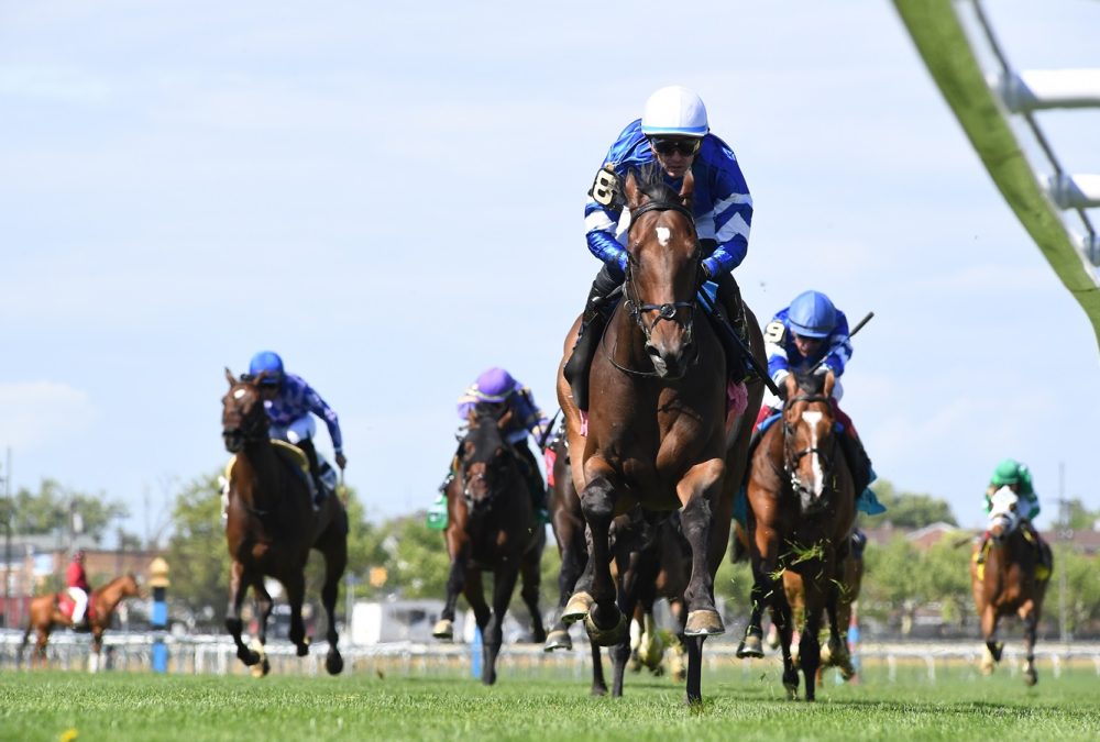 Silver Knott - Man o' War Stakes - Coglianese Photo