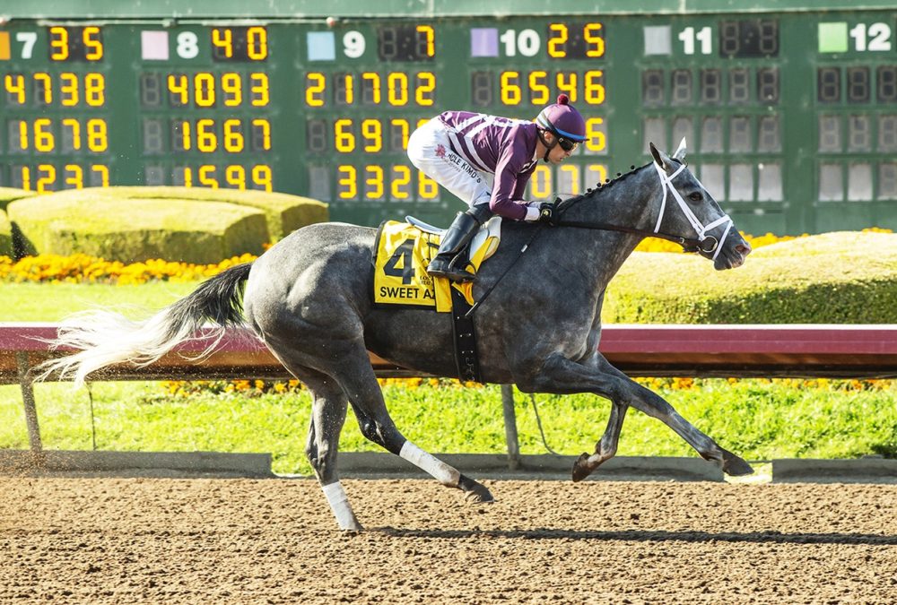 Sweet Azteca - Great M Lady Stakes G2 - Benoit Photo 2