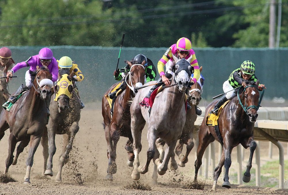 Tapit Trice - Monmouth Cup G3 - Mark Wyville/EQUI-PHOTO