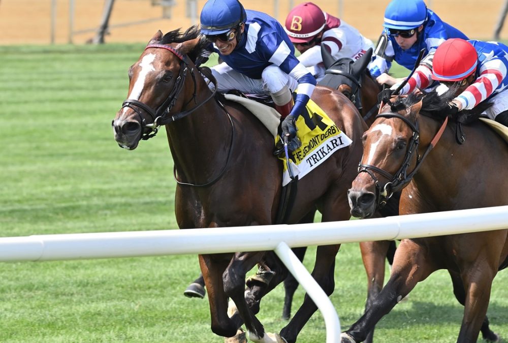 Trikari - Belmont Derby Invitational G1 - Foto: Joe Labozzetta/Coglianese Photo