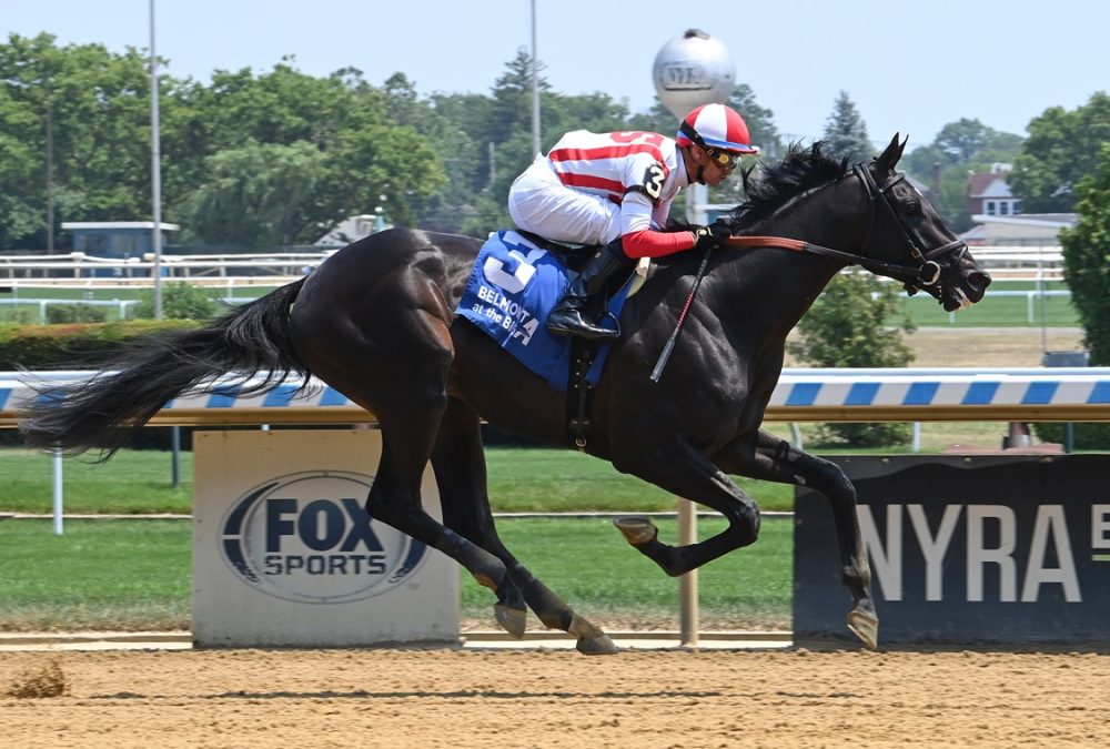 Unmatched Wisdom - Aqueduct - Coglianese Photo