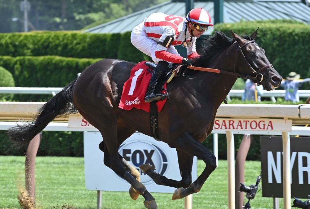 Unmatched Wisdom - Curlin Stakes - Foto: Coglianese Photo